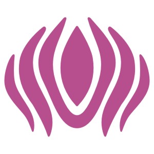 Website construction in progress!